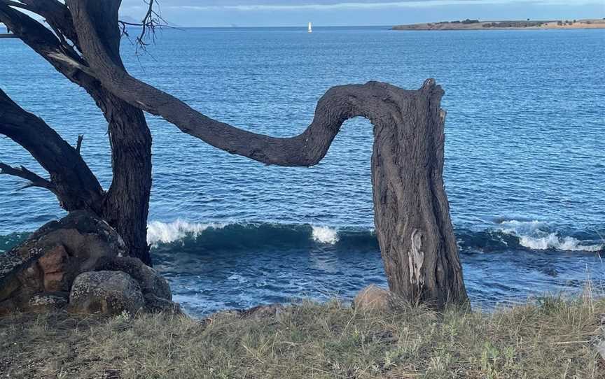 Little Swanport Beach, Little Swanport, TAS