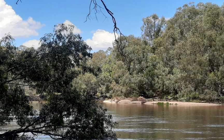 Narrandera Wetlands, Narrandera, NSW