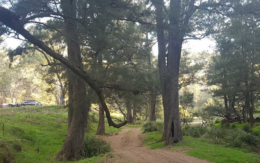 Turon National Park, Capertee, NSW