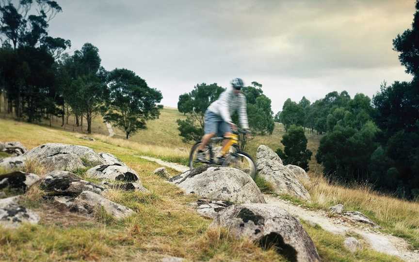 Lysterfield Park, Lysterfield, VIC