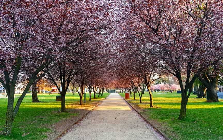 Robertson Park, Orange, NSW