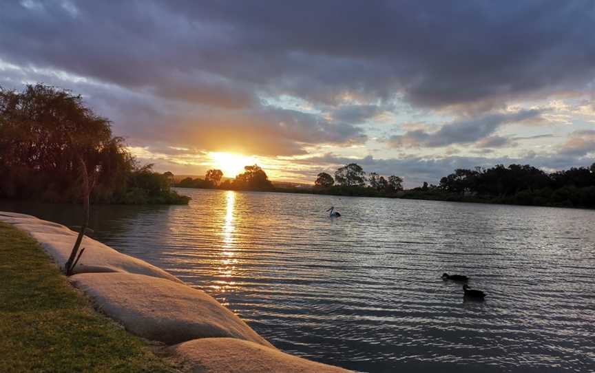 Thiele Reserve, Murray Bridge, SA