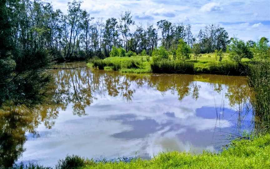 Everlasting Swamp National Park, Lower Southgate, NSW