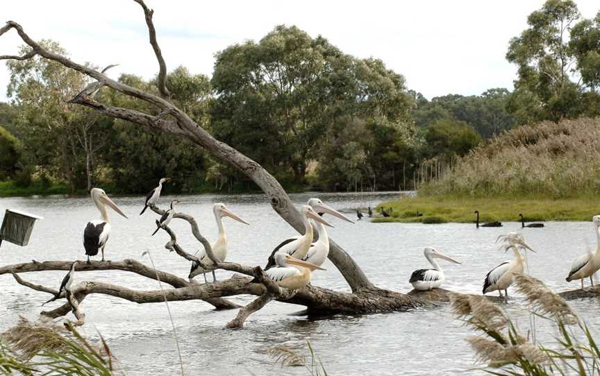 Braeside Park, Braeside, VIC