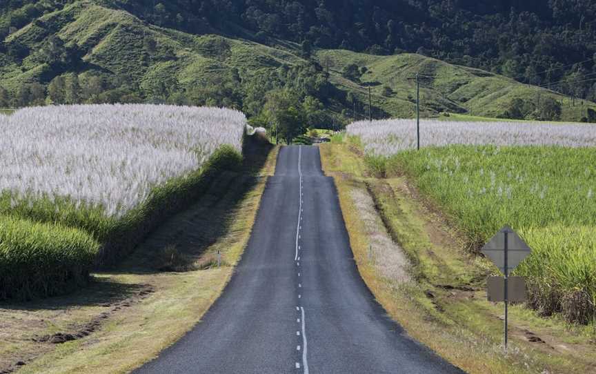 The Pioneer Valley, Eungella, QLD