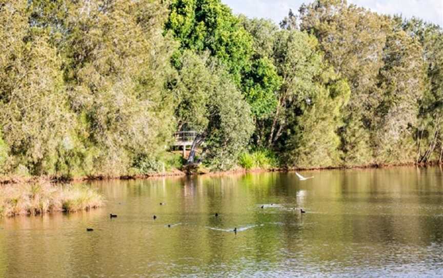 Toowoomba Water Bird Habitat, Toowoomba City, QLD