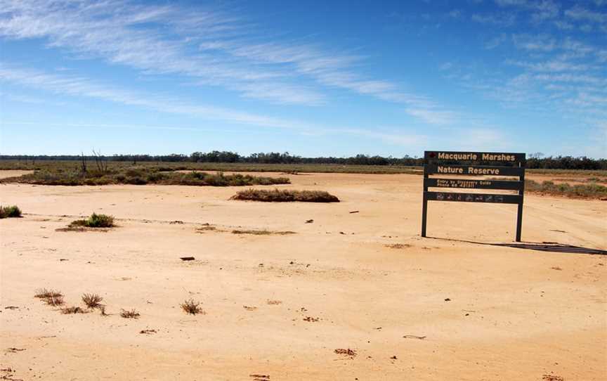 Macquarie Marshes Nature Reserve, Macquarie Marshes, NSW