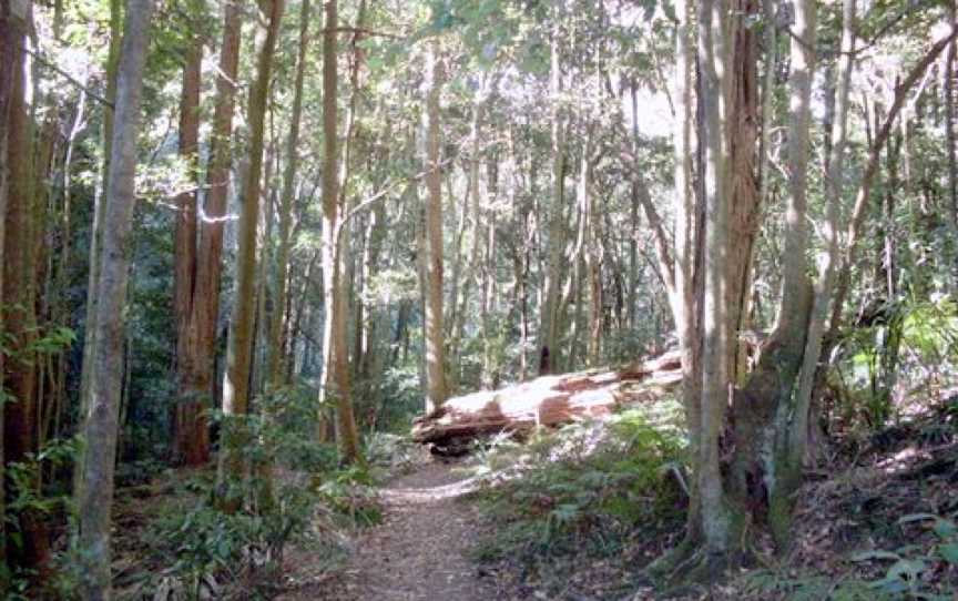 Macquarie Pass National Park, Macquarie Pass, NSW