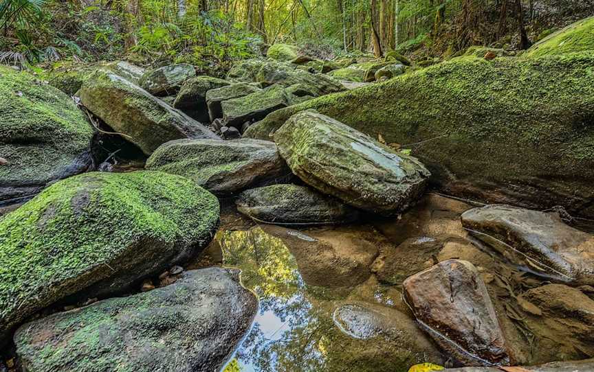 Strickland State Forest, Niagara Park, NSW