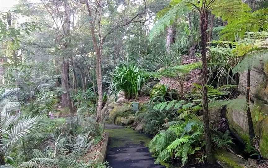 Joseph Banks Native Plants Reserve, Kareela, NSW