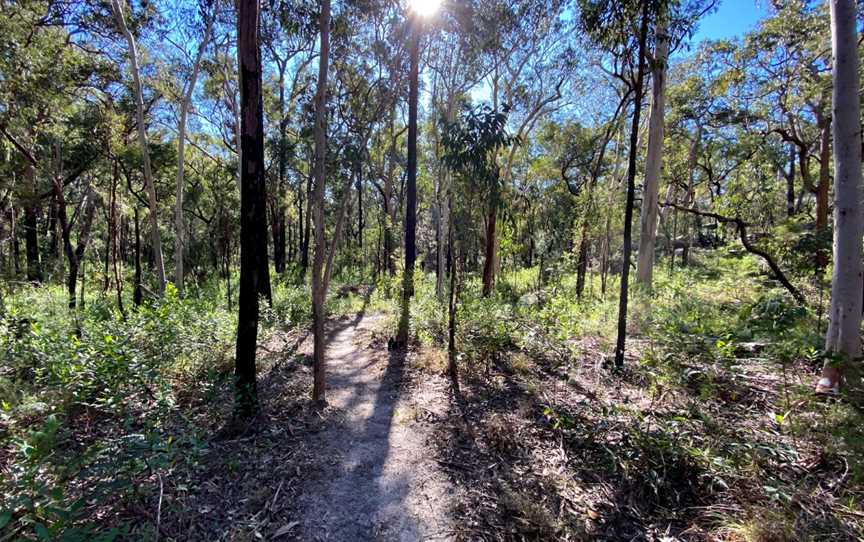 Mitchell Park picnic area, Maraylya, NSW