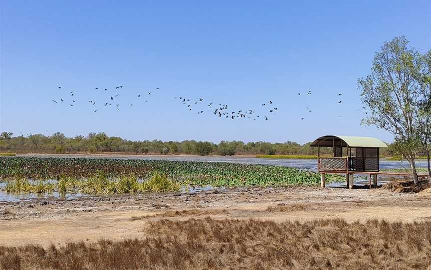 Bird Billabong, Marrakai, NT