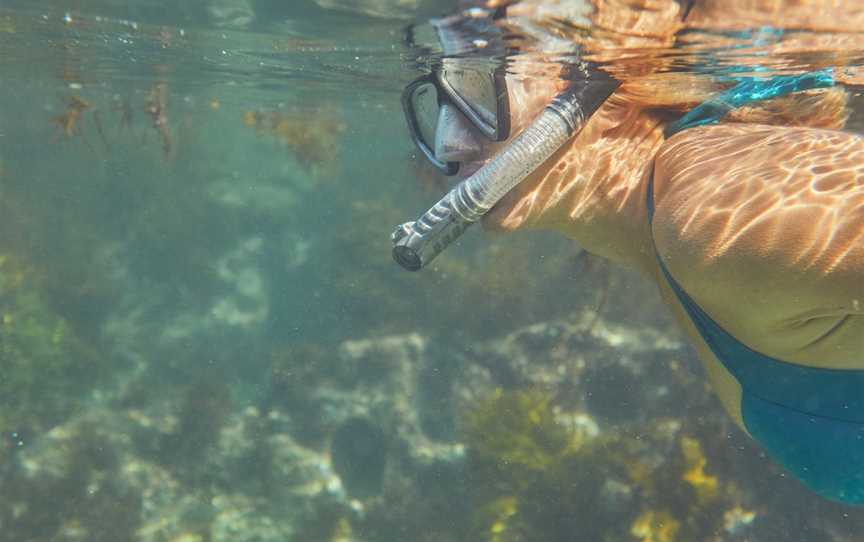 Snorkelling McKenzies Beach, Malua Bay, NSW