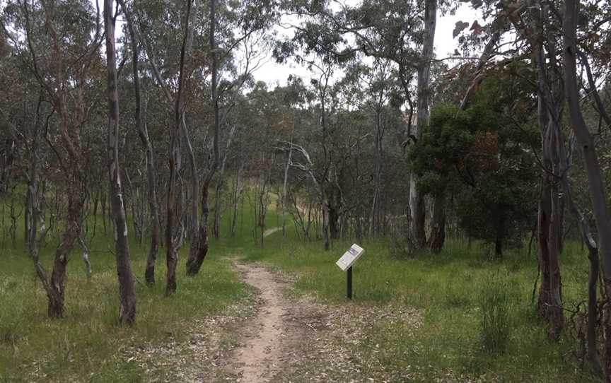 McKenzie Flora Reserve, Alexandra, VIC