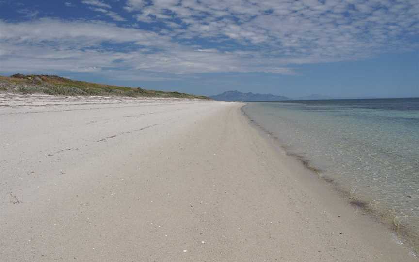 Drive Discovery Central Flinders Island, Whitemark, TAS