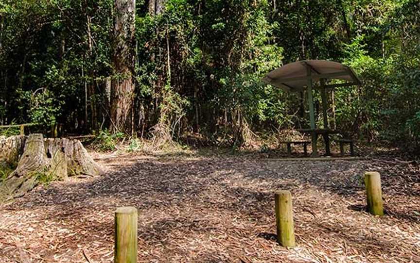 Bird Tree picnic area, Middle Brother, NSW