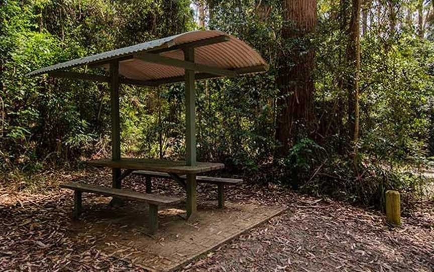 Bird Tree picnic area, Middle Brother, NSW