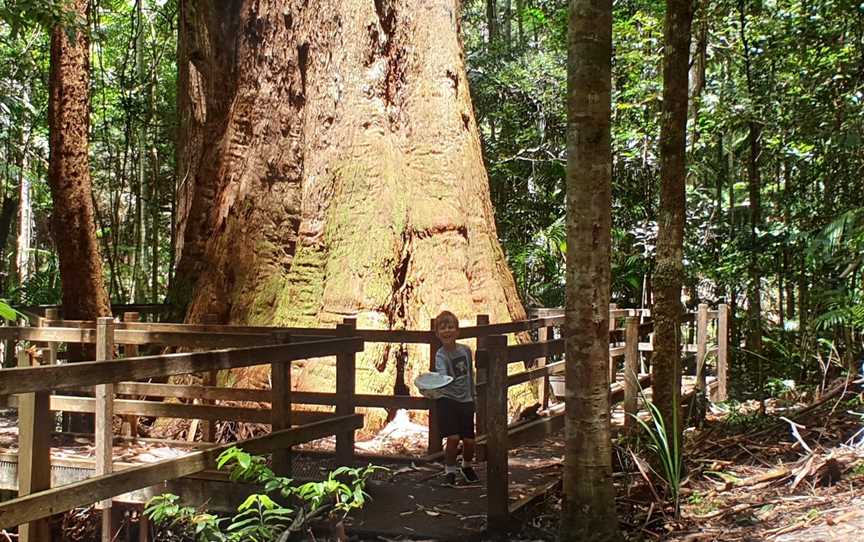 Middle Brother National Park, Middle Brother, NSW