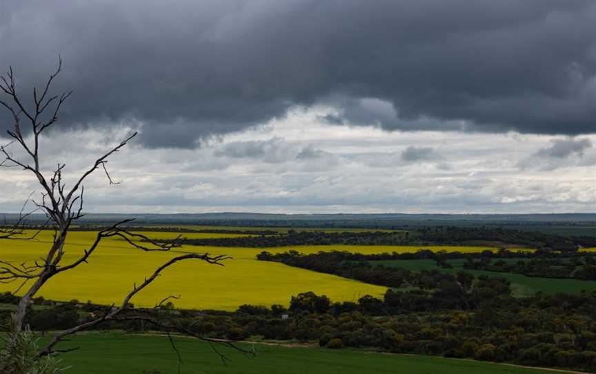 Mingenew Hill, Mingenew, WA