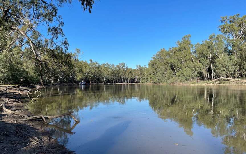 Barmah National Park, Barmah, VIC