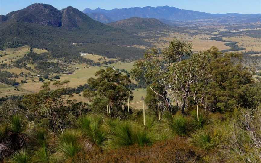 Moogerah Peaks National Park, Moogerah, QLD