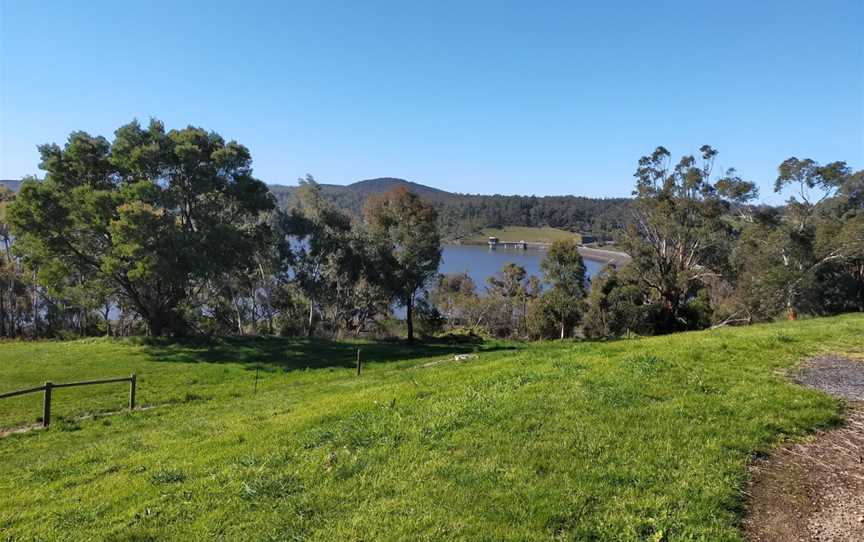 Moondarra State Park, Moondarra, VIC