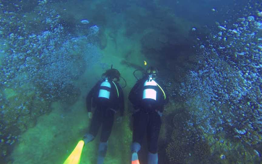 China Wall Dive Site, Moreton Island, QLD