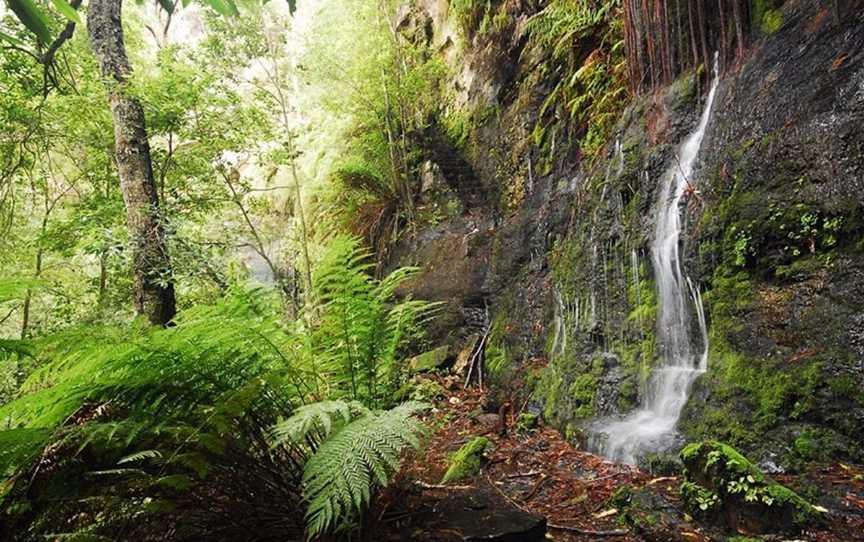 Fairy Bower Falls, Bundanoon, NSW