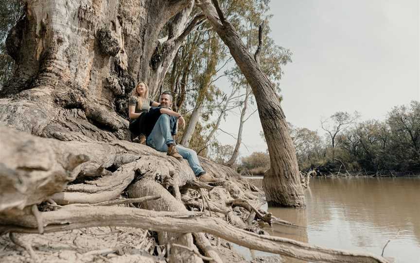 The Big Tree, Moulamein, NSW