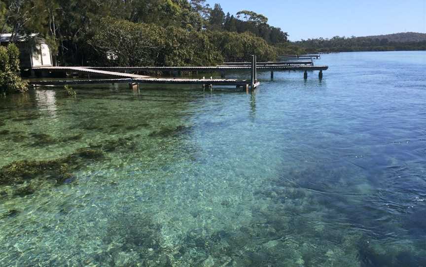 Kayaking Tomaga River, Mossy Point, NSW