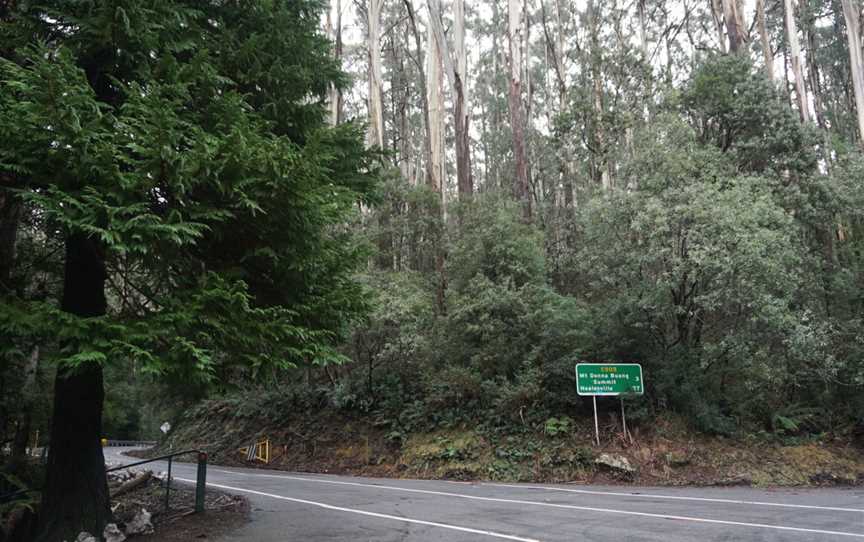 Mt Donna Buang, Warburton, VIC