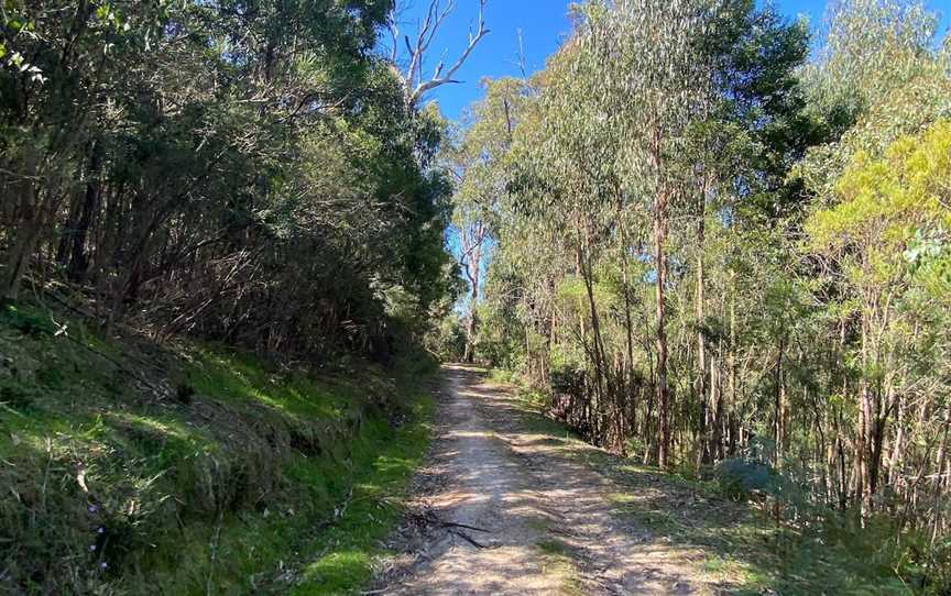 Mt Everard Circuit, Kinglake, VIC