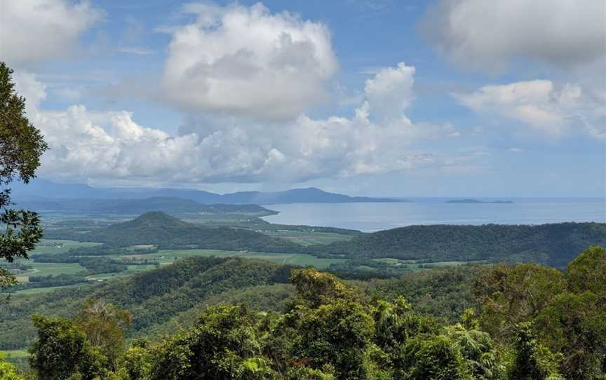 Mount Lewis National Park, Julatten, QLD