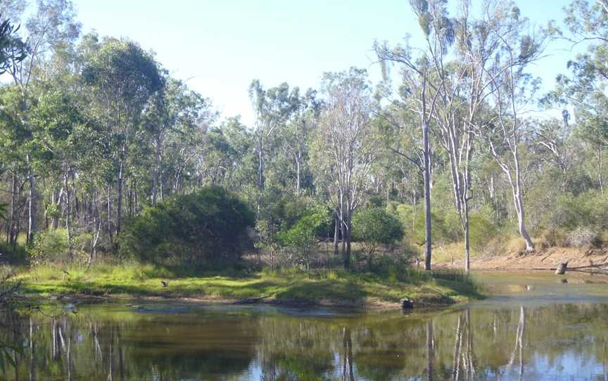 Nanango Fauna Reserve, Nanango, QLD