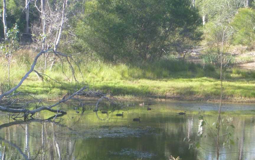 Nanango Fauna Reserve, Nanango, QLD