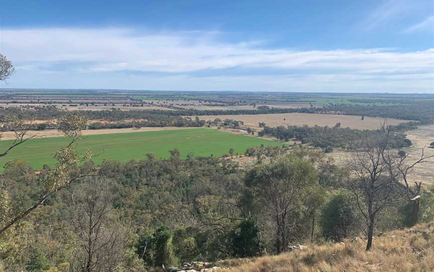 Mount Tilga, Condobolin, NSW