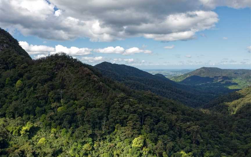 Wollumbin National Park, Mount Warning, NSW