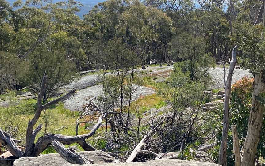 Mount Alexander Regional Park, Harcourt, VIC