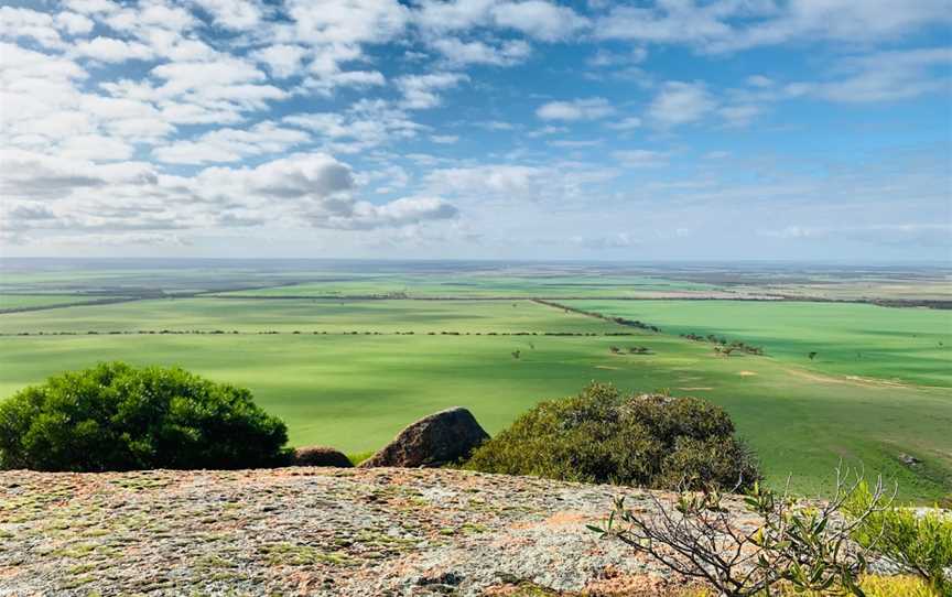 Mount Wudinna, Wudinna, SA