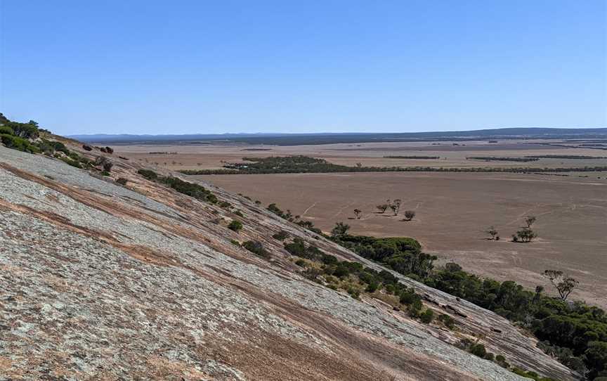 Mount Wudinna, Wudinna, SA