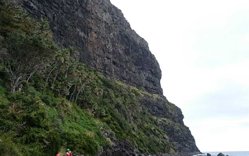 Mount Gower, Lord Howe Island, AIT