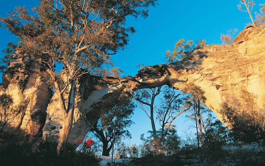 Mount Moffatt,  Carnarvon National Park, Carnarvon National Park, QLD