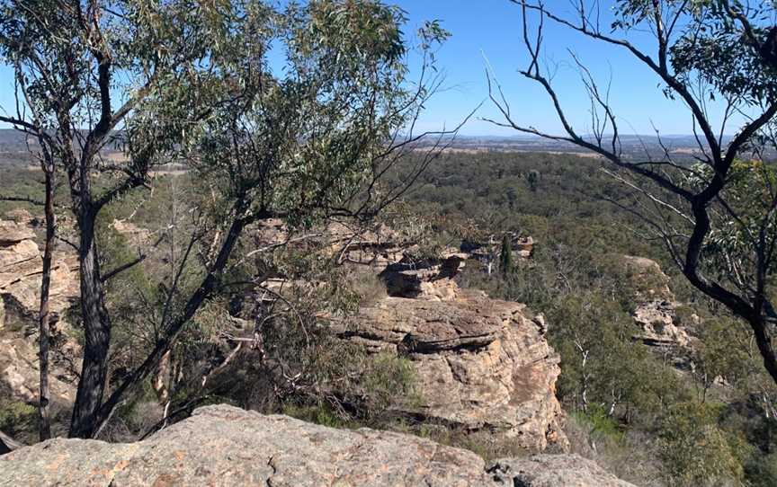 Munghorn Gap Nature Reserve, Munghorn, NSW