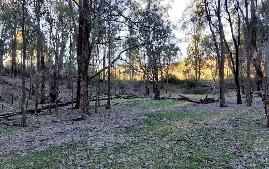 Moolarben picnic area, Munghorn, NSW