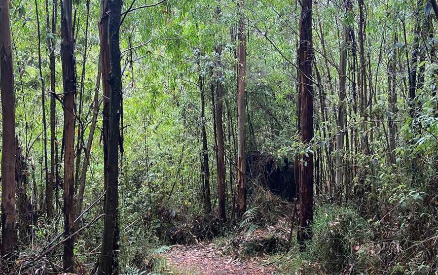 Murrindindi Cascades, Murrindindi, VIC