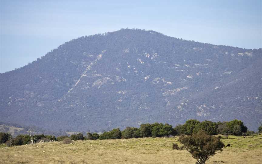 Mt Tennent, Tharwa, ACT