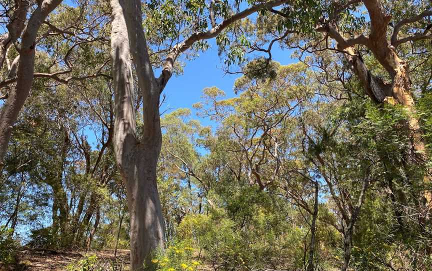 Burragorang lookout and picnic area, Nattai, NSW