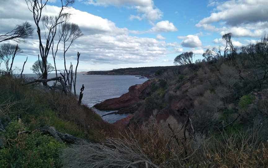 Nelson Lagoon, Mogareeka, NSW