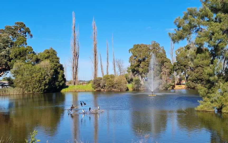 Kelly Reserve, Parkes, NSW