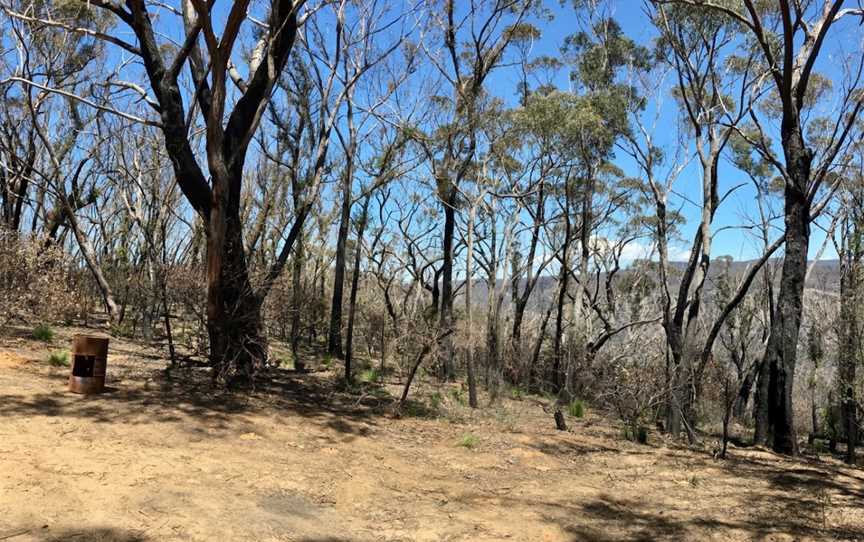 The Newnes Plateau Cliffs, Newnes Plateau, NSW